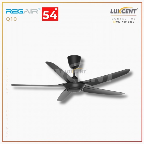 Regair Q10 (Matt Black) 54