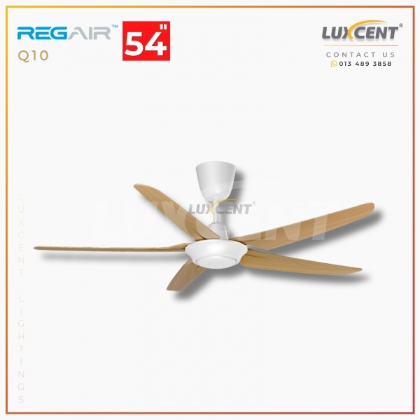 Regair Q10 (Matt White+Pinewood) 54