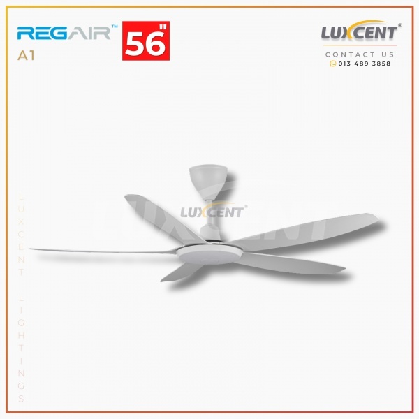 Regair A1 (Matt White) 56
