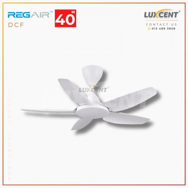 Regair DCF (Matt White) 40