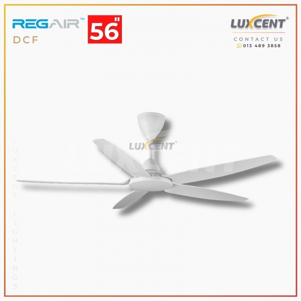 Regair DCF (Matt White) 56