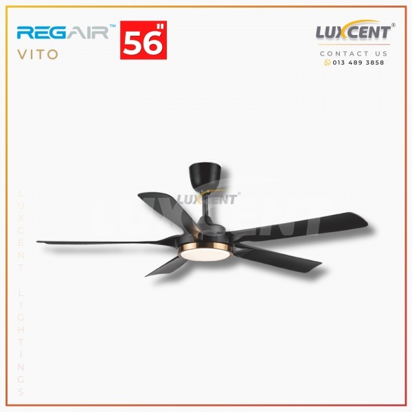 Regair Vito (Matt Black) 56