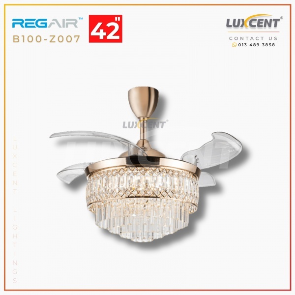 Regair B100-Z007 (Gold) 42
